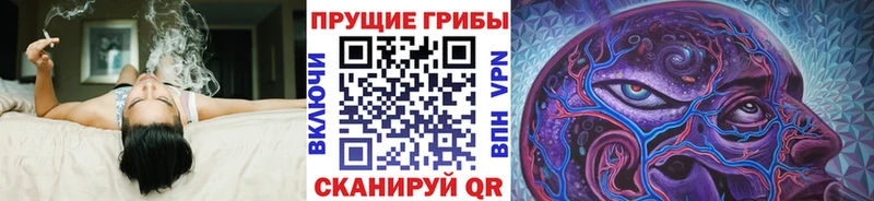 где купить наркотик  кракен зеркало  Галлюциногенные грибы мицелий  Семёнов 